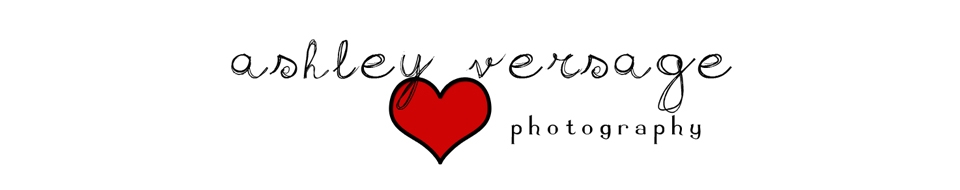 Ashley Versage Photography Banner
